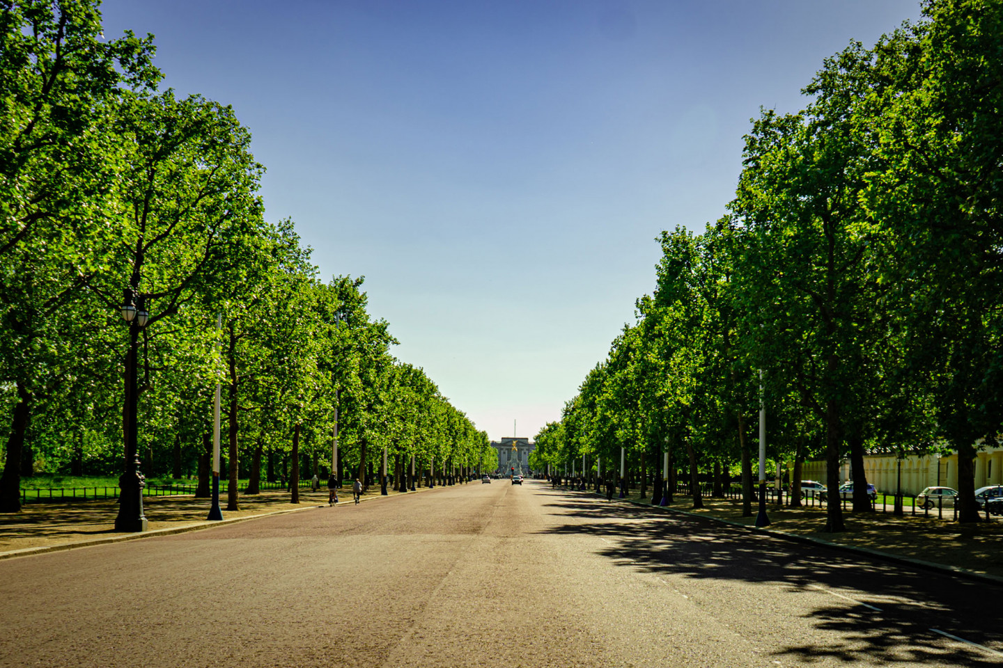 Looking down the Mall towards Buckingham Palace May 12, 8.50am © Richard Lawrence