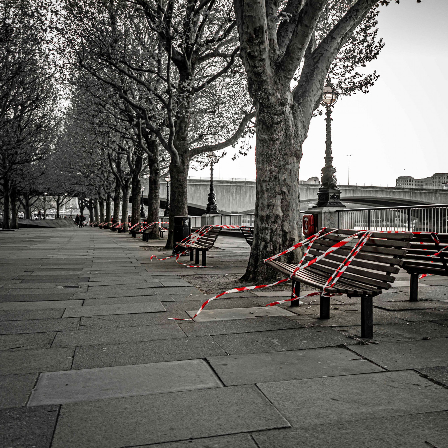 Taped off benches by the Thames. May 13, 5.09pm © Richard Lawrence