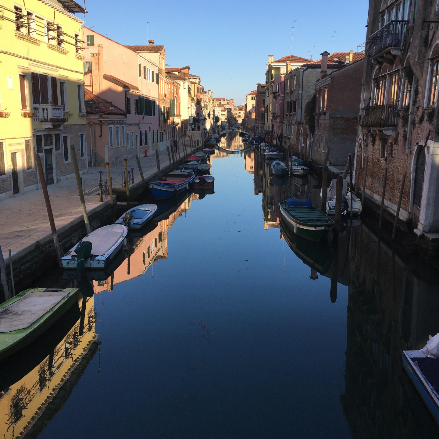 March 2020 Lockdown in Venice, Itlay. Nobody about, and such clear water in the canals that you can spot the fish
 © Robin Frood